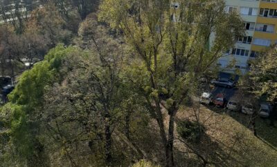 One-bedroom For Rent Budapest XIV.-th District