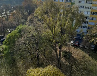 One- bedroom Flat Pillgó Park View