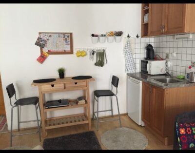 Studio For Rent In Budapest VIth DIstrict, Room